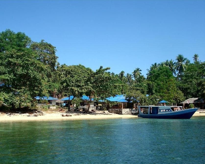 Les incontournables de Sulawesi