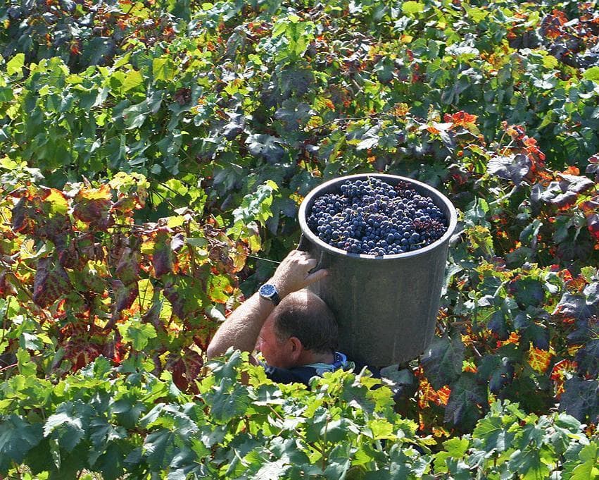 Charming Douro Valley (4 days program)