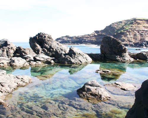 Madère: Une Expérience Complète, de la Montagne à la Mer