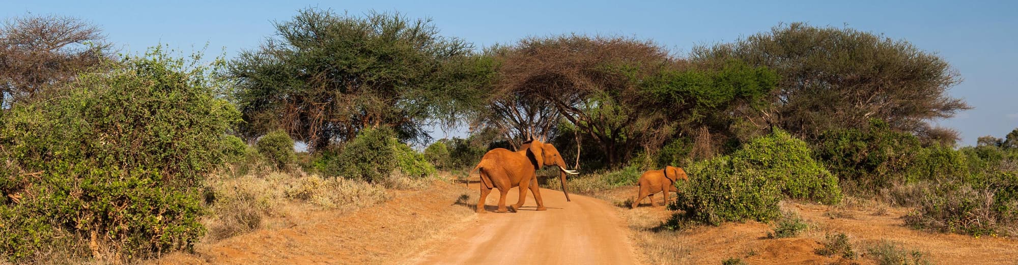 Tsavo East National Park, Kenya