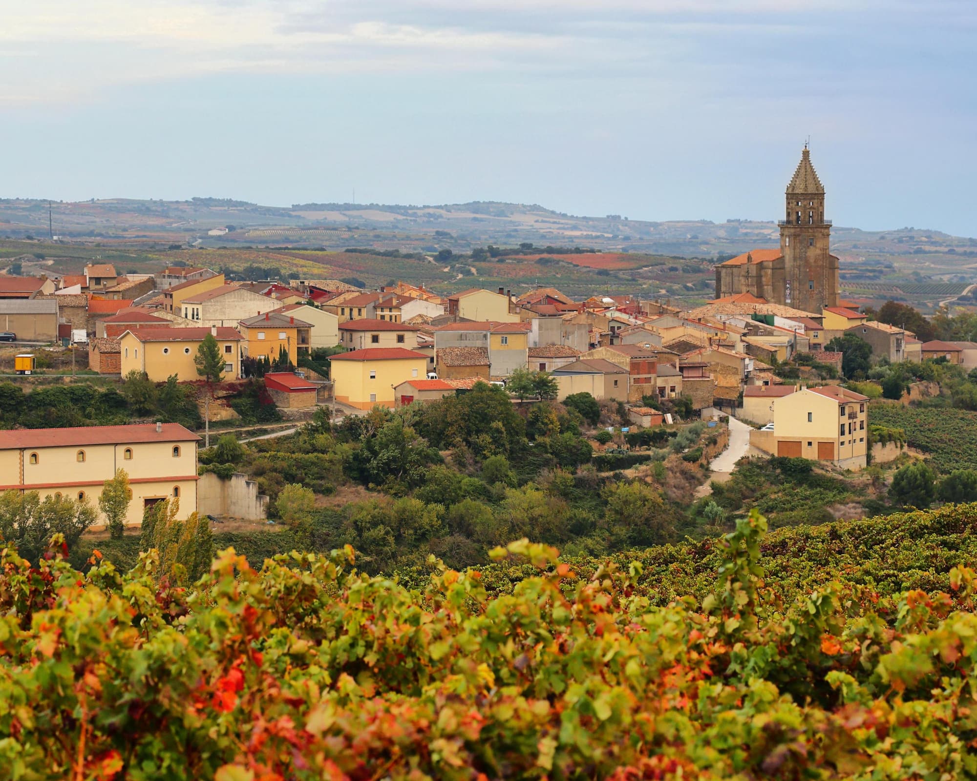 Lr - La Rioja Y Navarra, Tierras De Vino