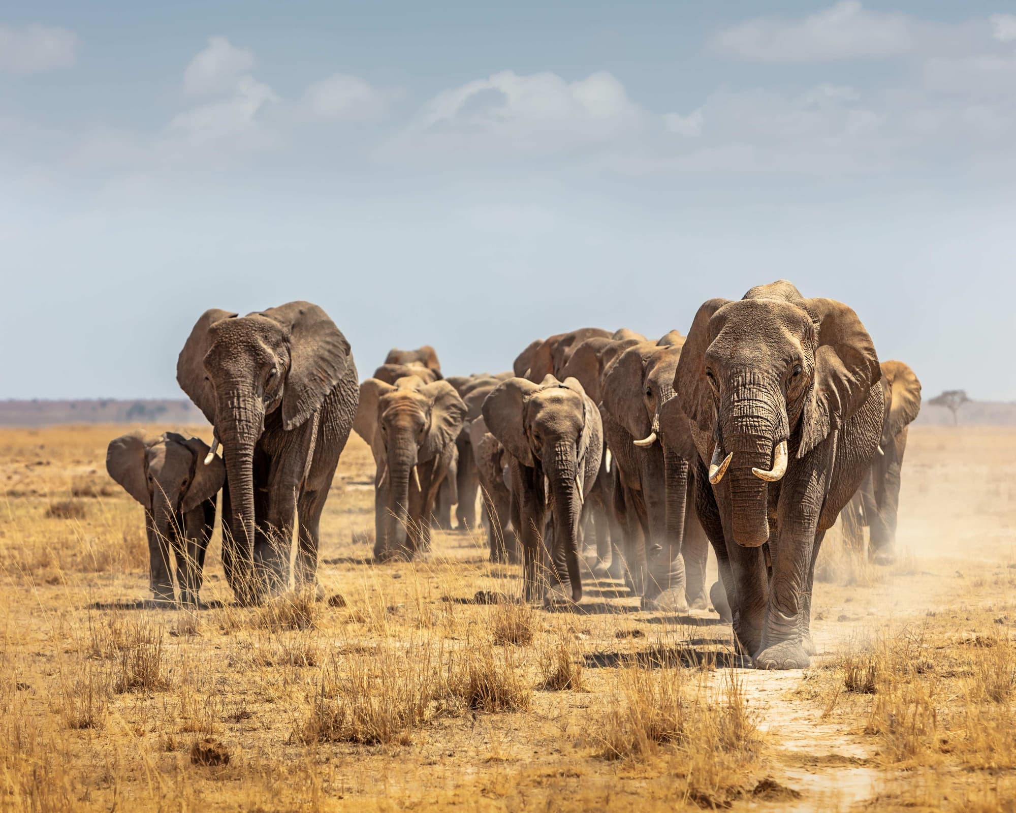 Kariega Game Reserve Eastern Cape, South Africa