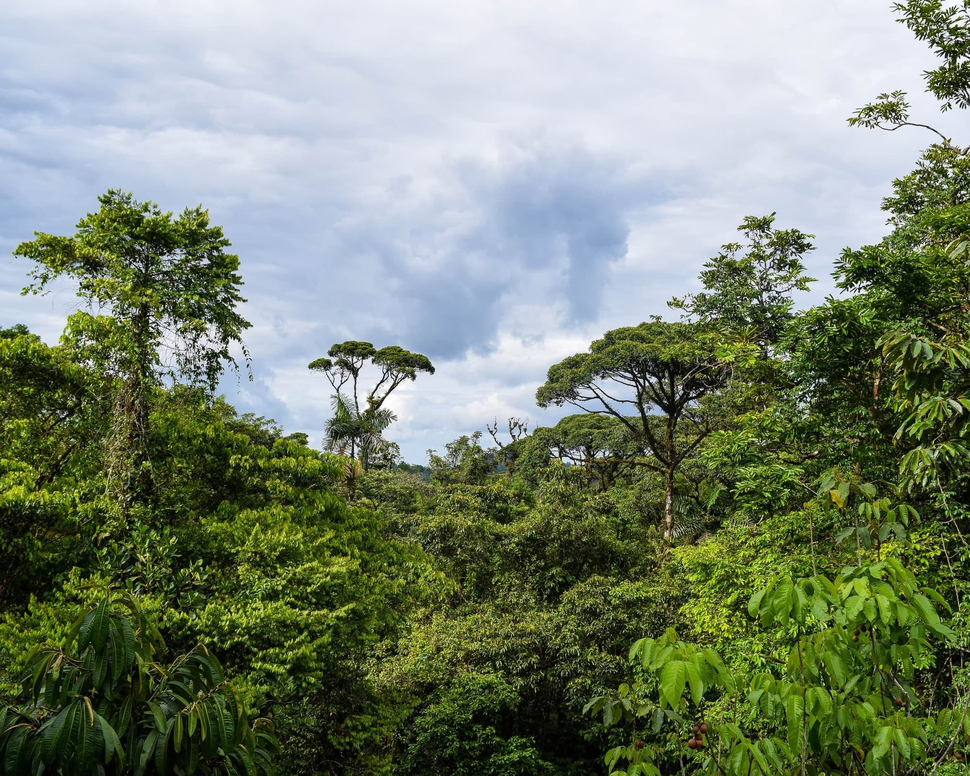 Aventura en Costa Rica