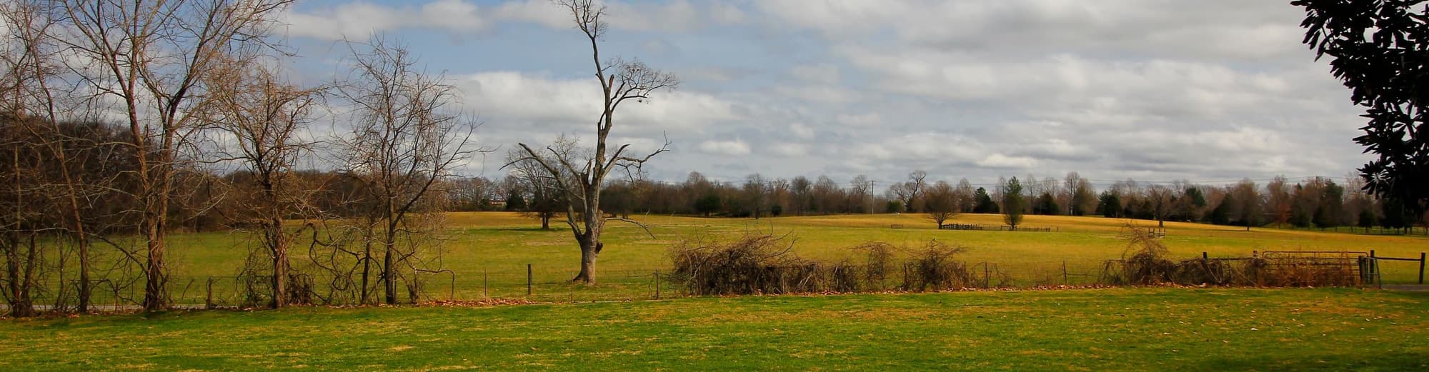 Jackson TN, United States of America