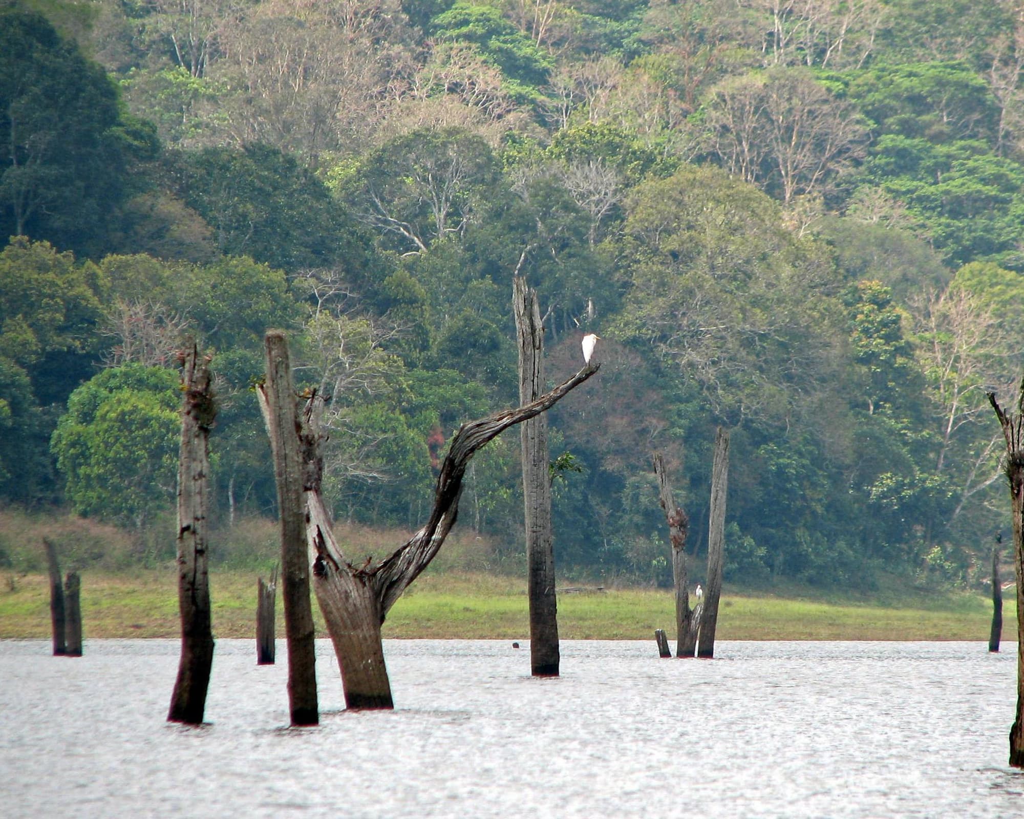 Periyar, India