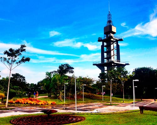 Expedición Amazonas: viaje al corazón verde