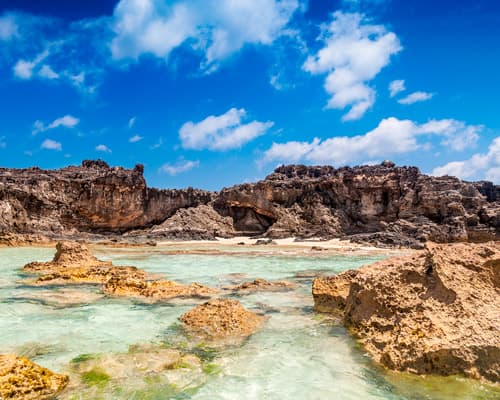 “Caribe sin visa en crucero: "Un Paraíso al Alcance de todos" 