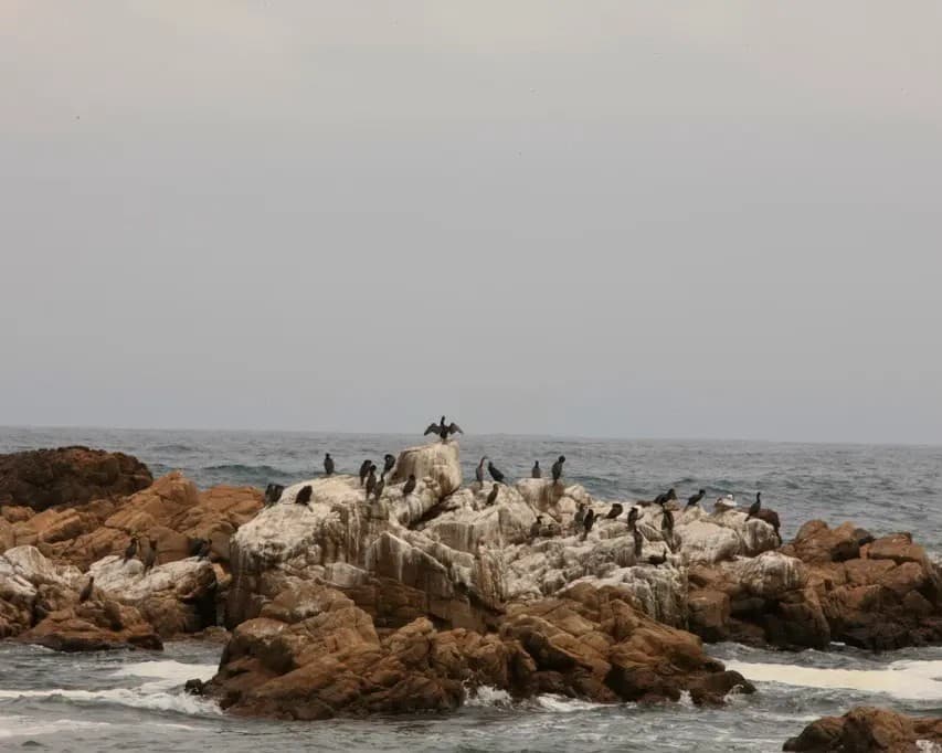 Maitencillo, Chile