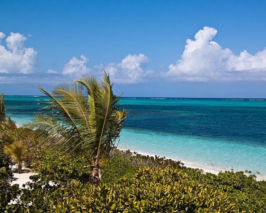 Paquete Islas Turks & Caicos - Club Med
