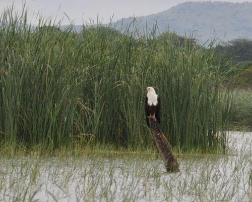 ETIOPIA, ETNIAS DEL VALLE DEL OMO