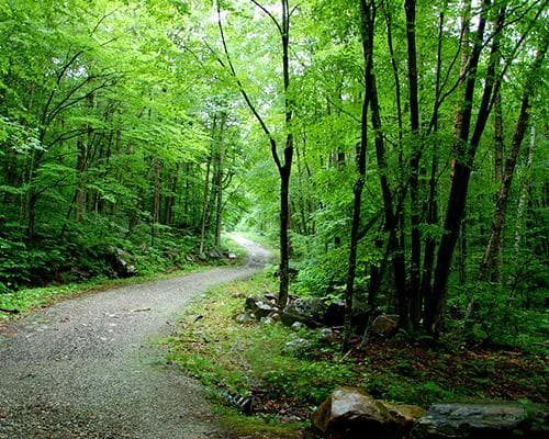 Green Mountain National Forest, Vereinigte Staaten von Amerika