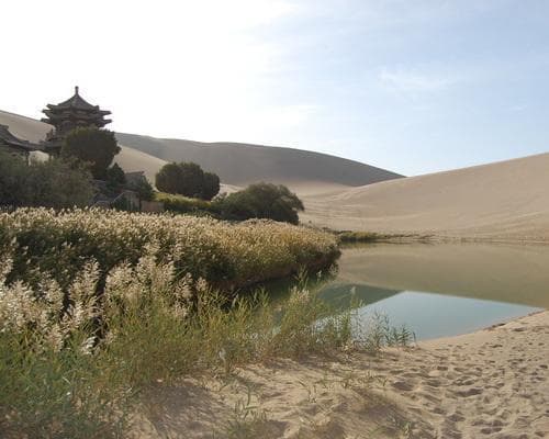 Irán: Un Viaje a través de la Historia Persa (2026)