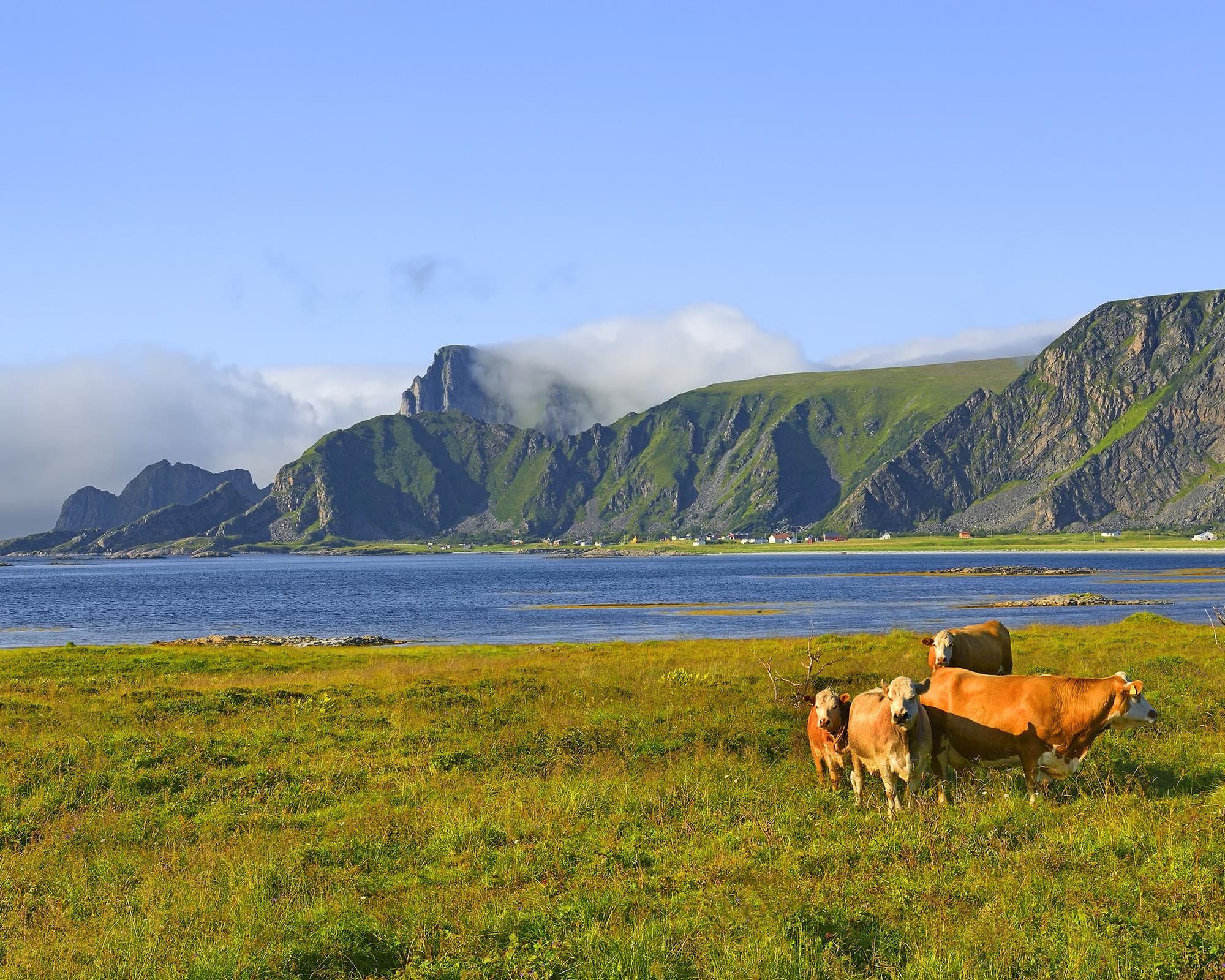 Todo Fiordos, Islas Lofoten, Cabo Norte y Laponia