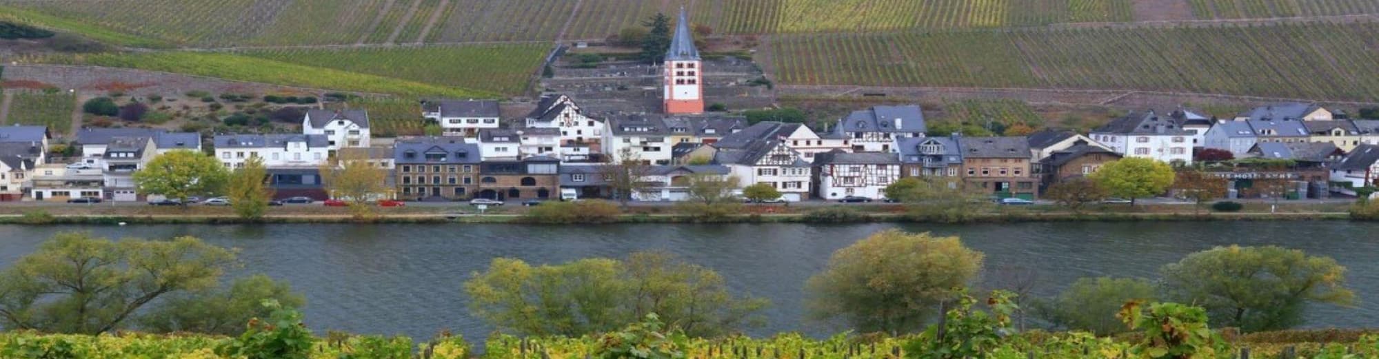 Hahn, Deutschland