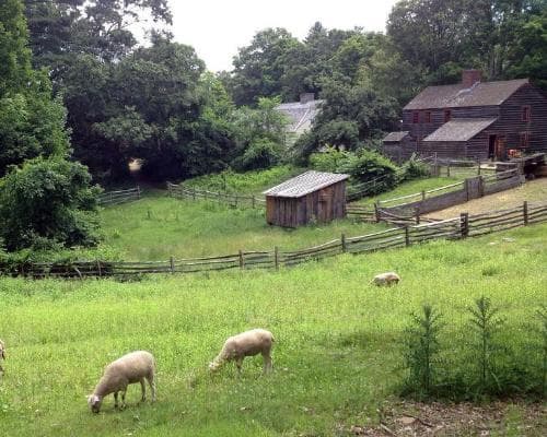 Classic New England - Standard