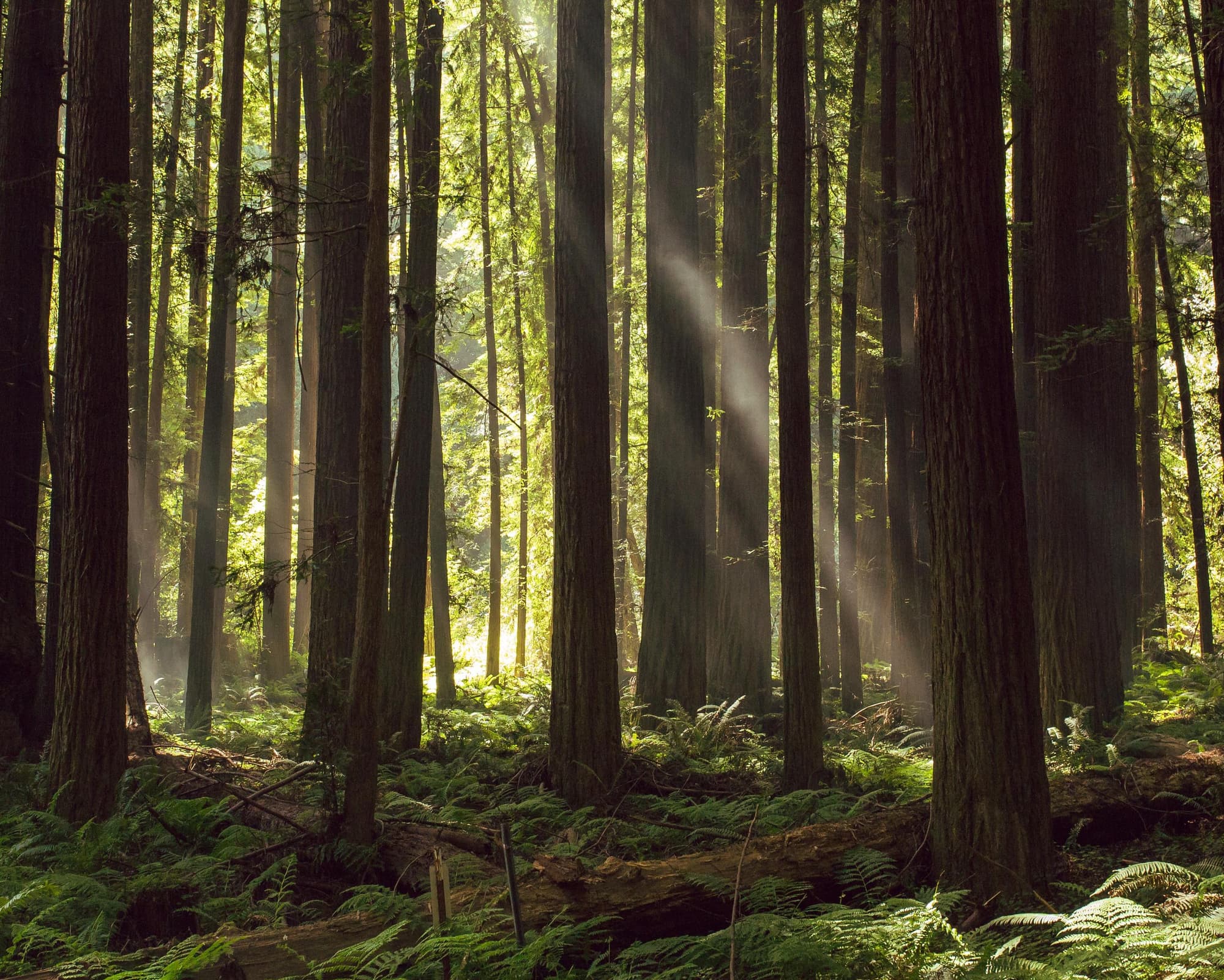 Mendocino CA, Estados Unidos de América