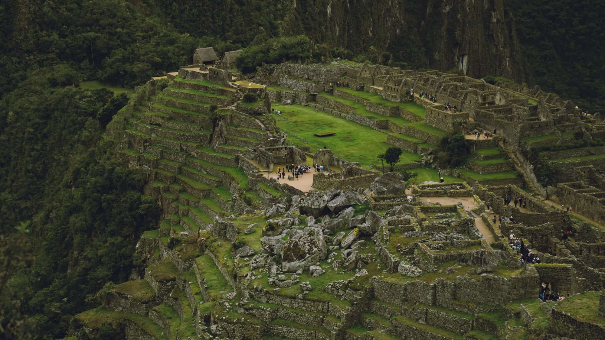 Trip image