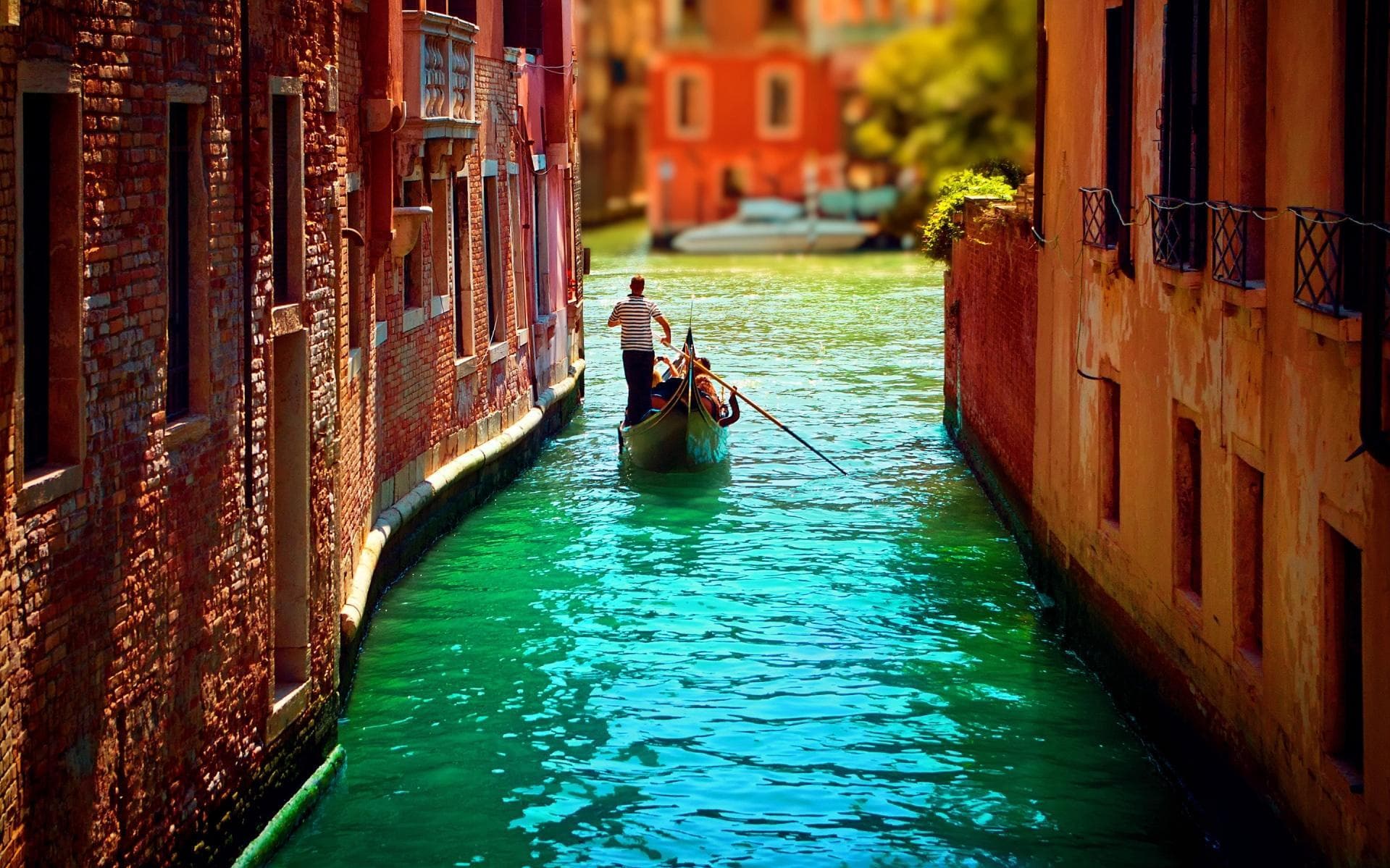 Trip image