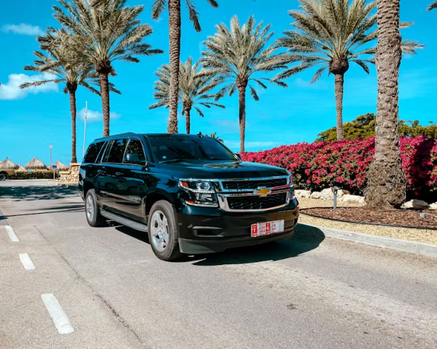 Transfer de Reina Beatrix Intl (AUA) a JOIA Aruba by Iberostar