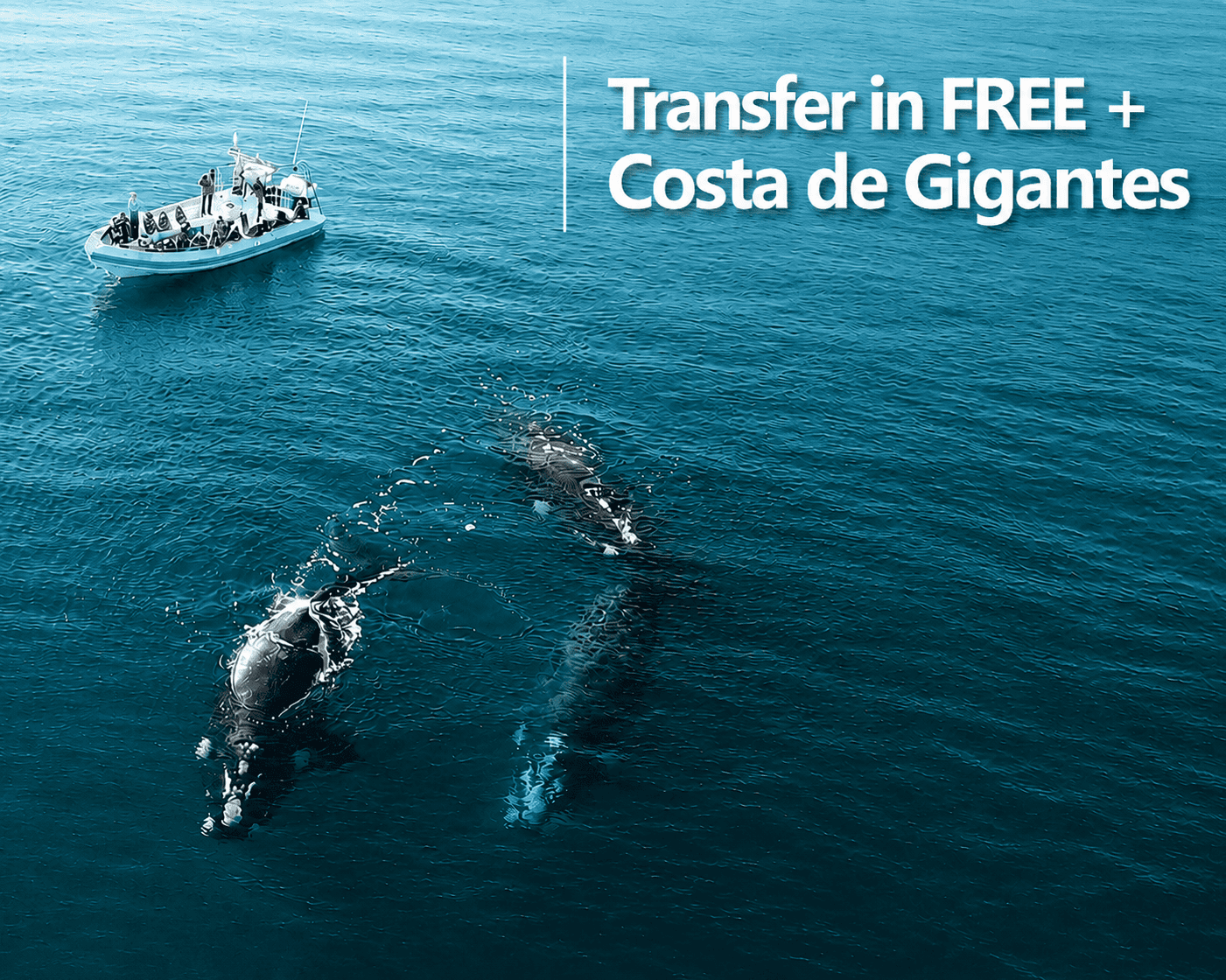 Transfer de Almirante Zar (REL) a Yene Hue