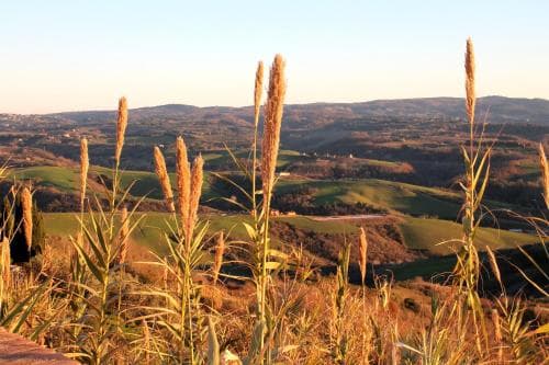 Agriturismo Le Docce