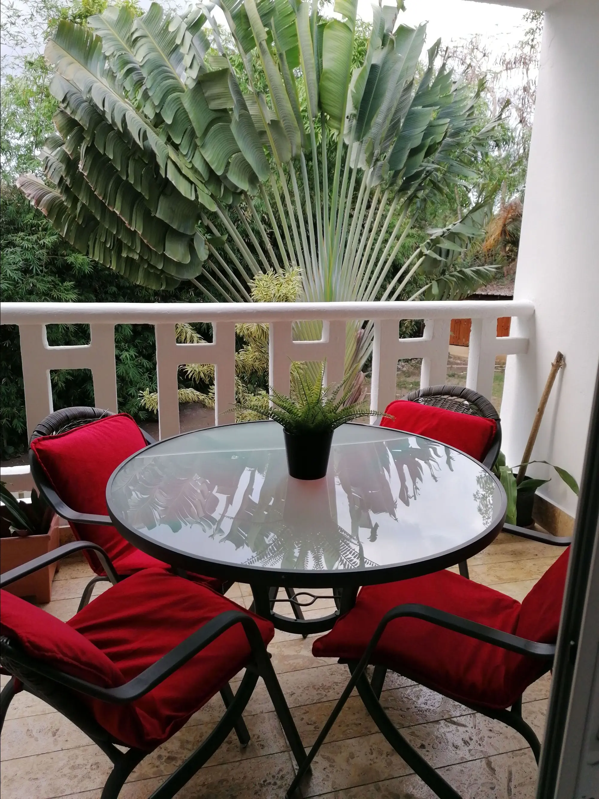 Room-apartment Monocal in Boca Chica