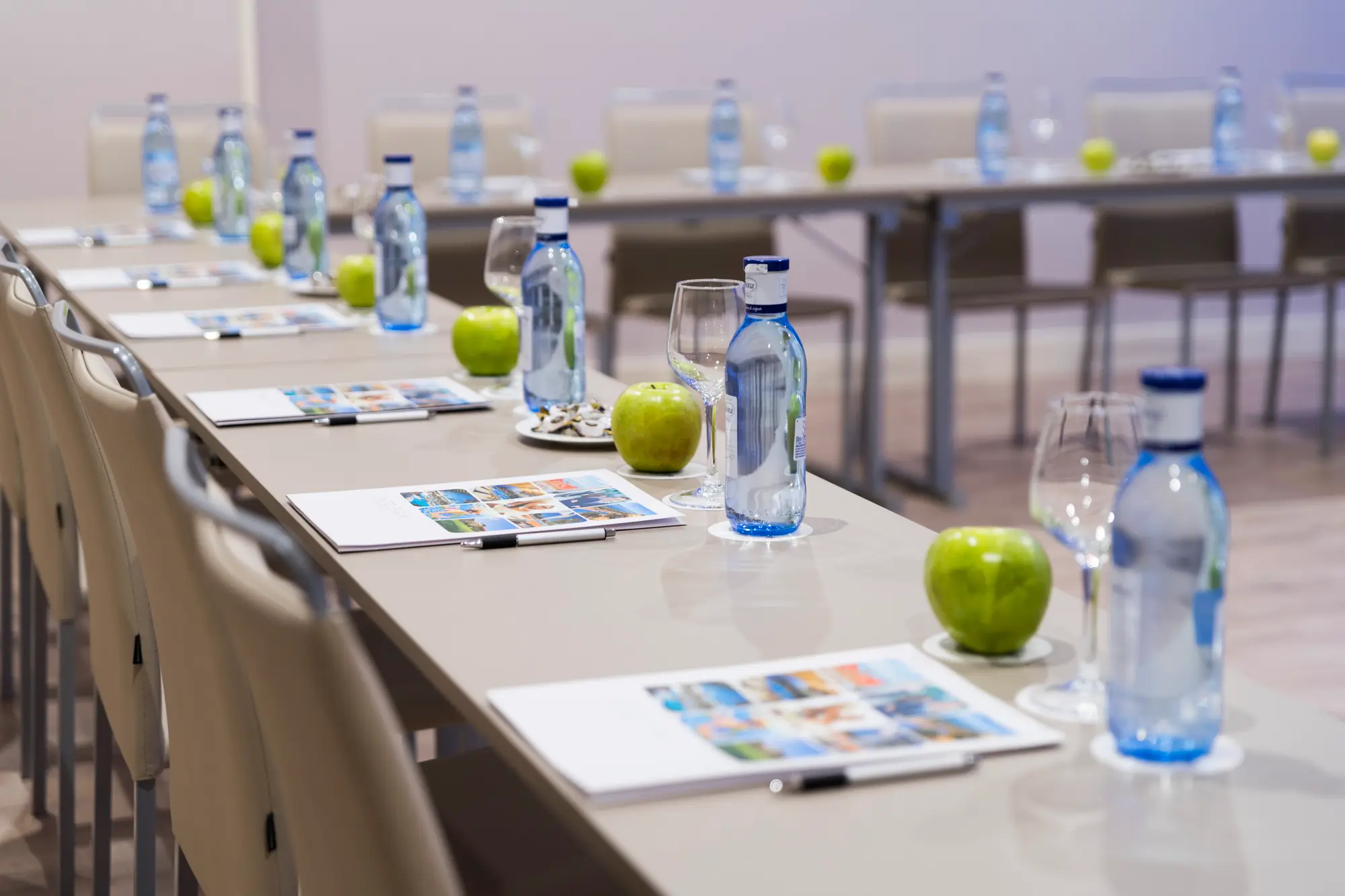 Elba Madrid Alcalá, Conferences