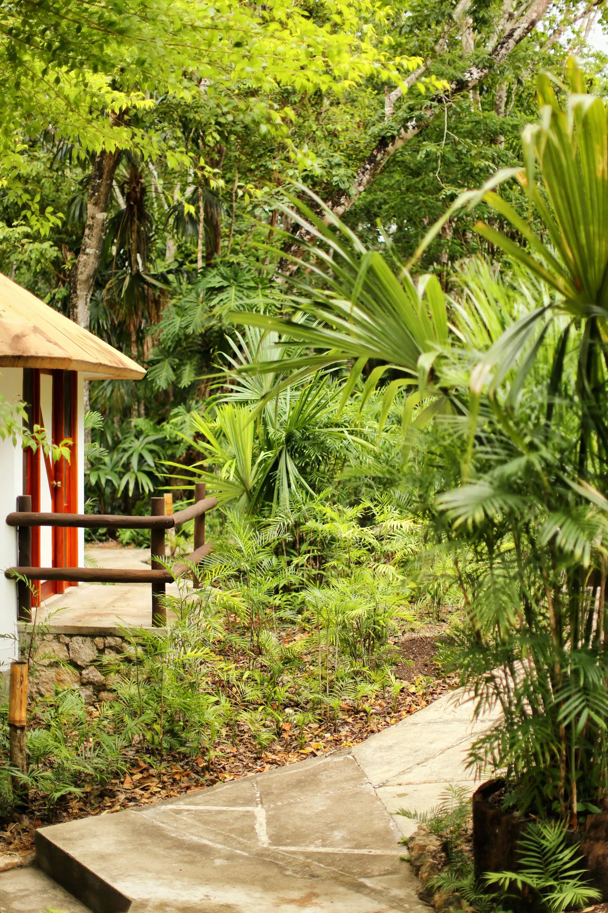 Villa Maya, General view