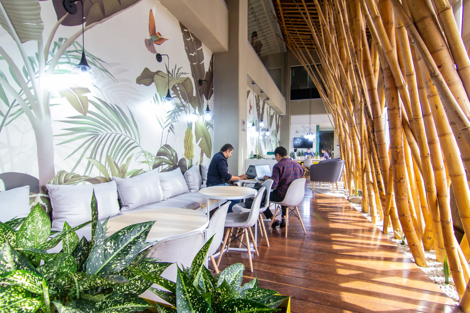Diez Hotel Categoría Colombia