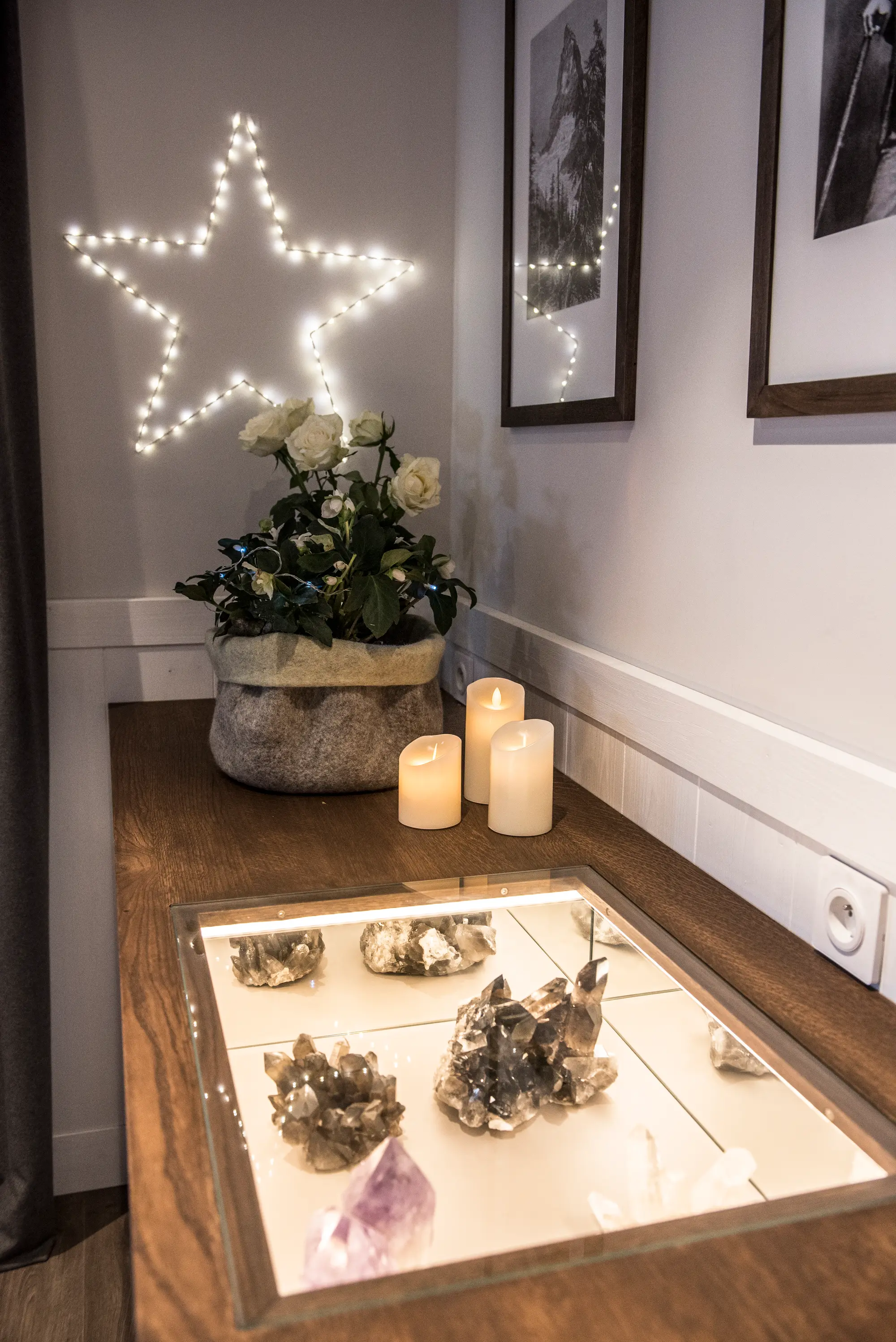 Chalet Hotel Whymper