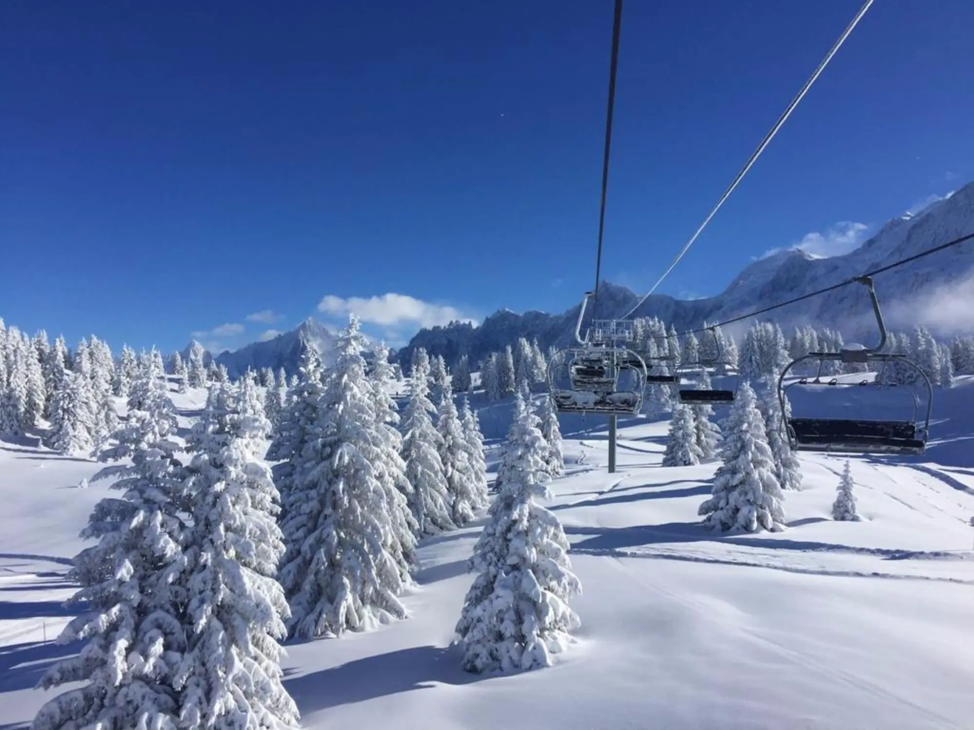 Chalet Hotel Whymper