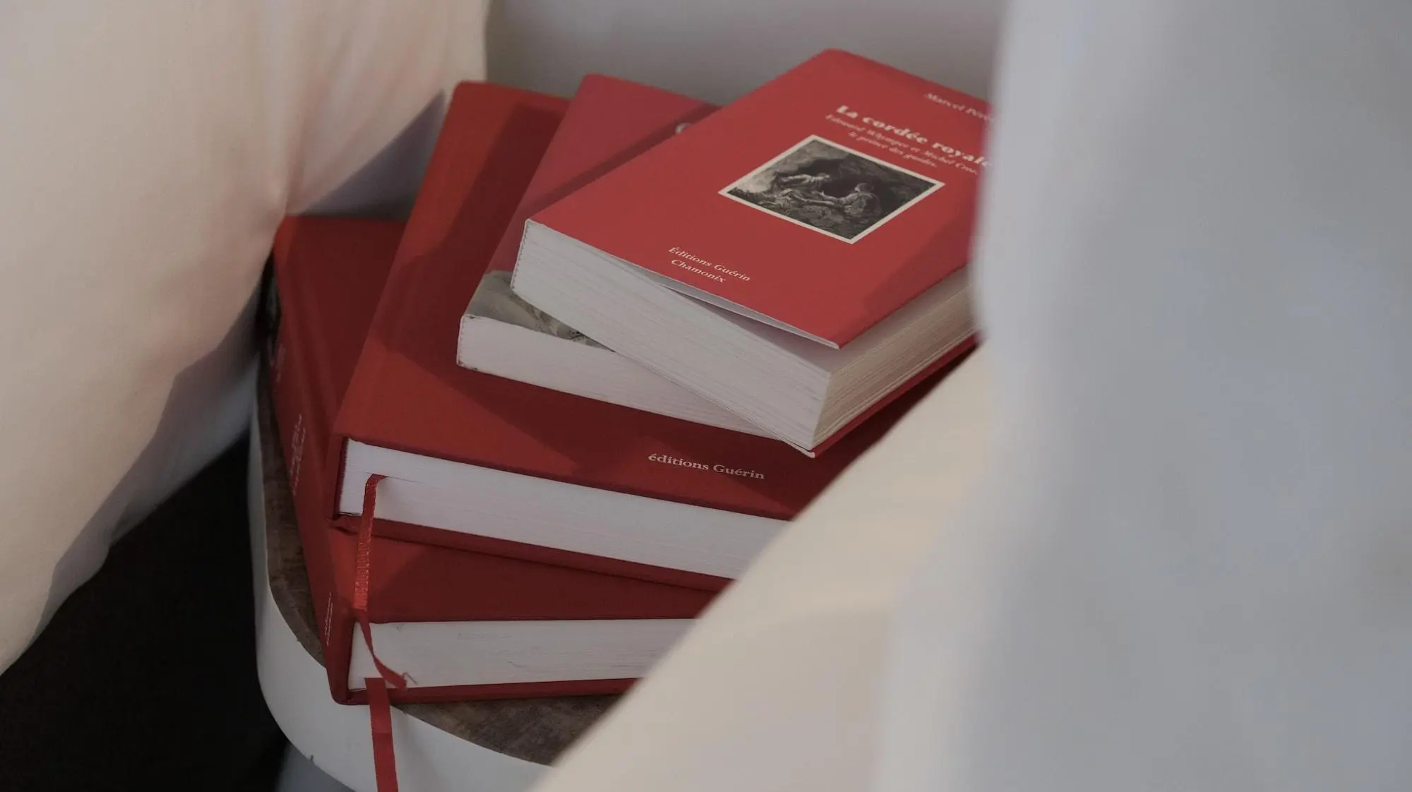 Chalet Hotel Whymper