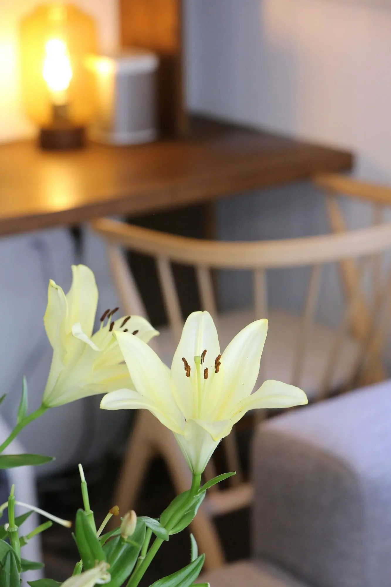 Chalet Hotel Whymper