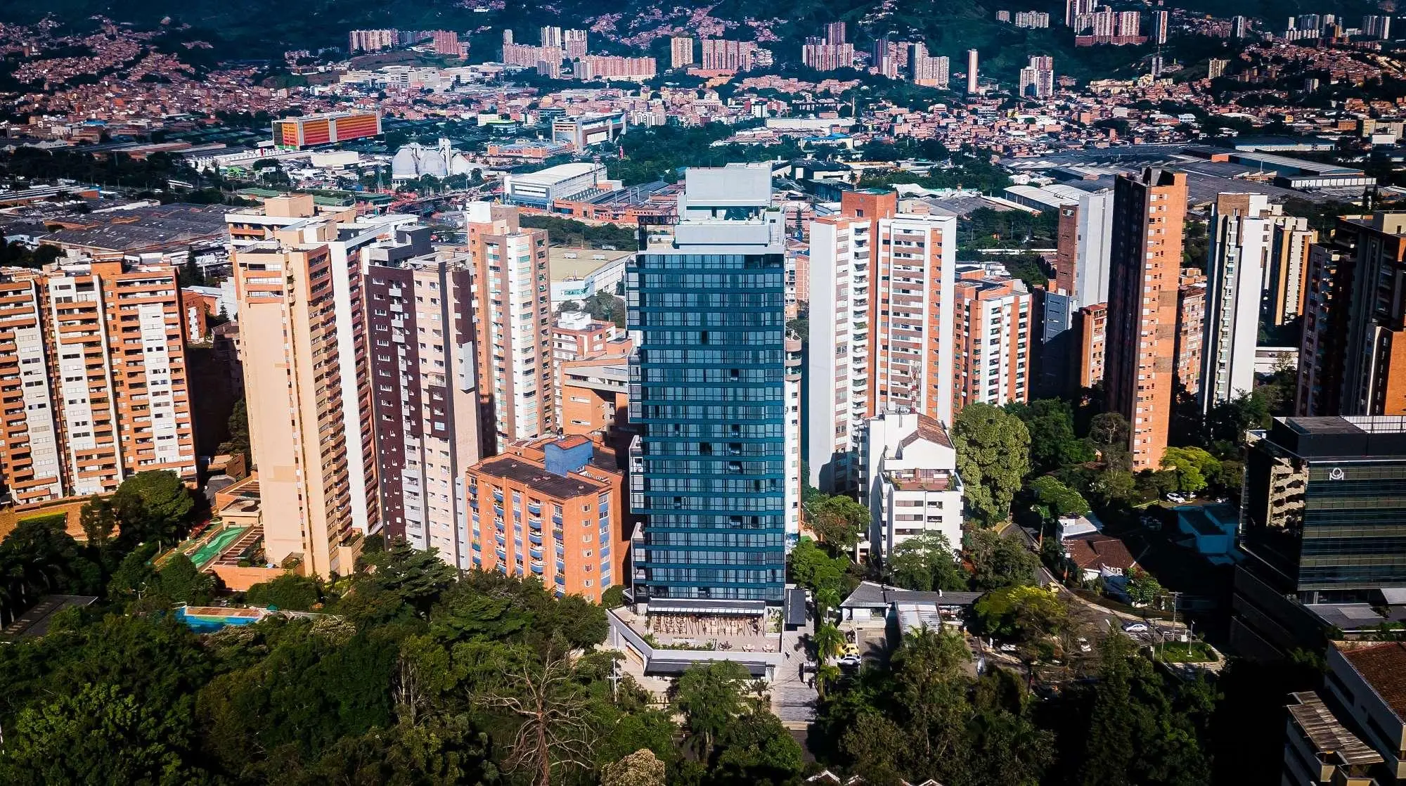 York Medellin, Curio Collection by Hilton