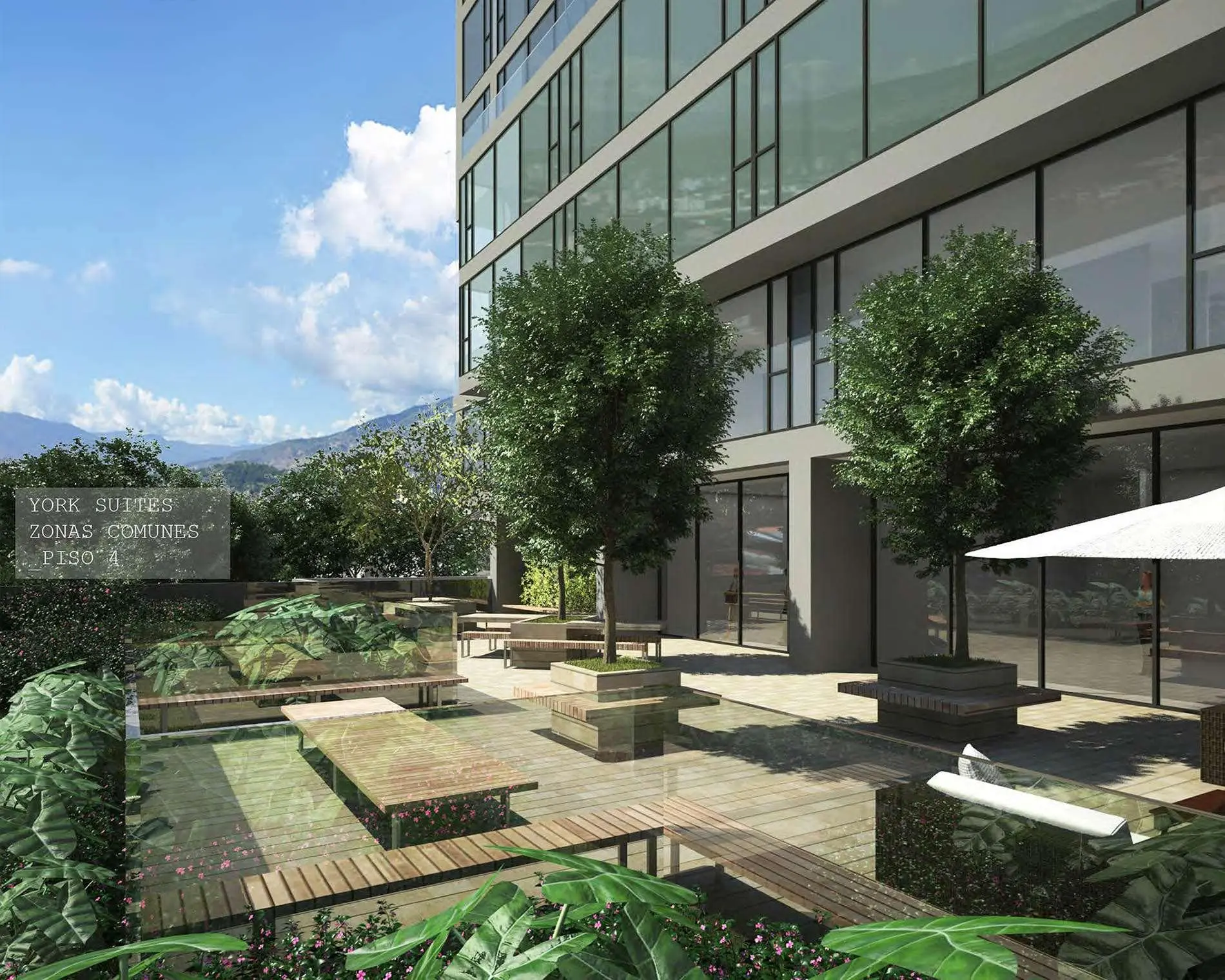 York Medellin, Curio Collection by Hilton