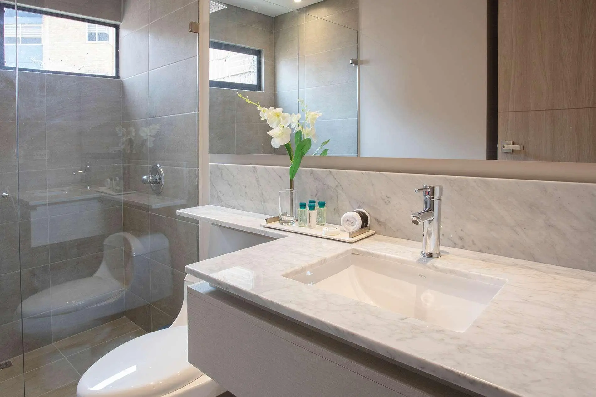 York Medellin, Curio Collection by Hilton