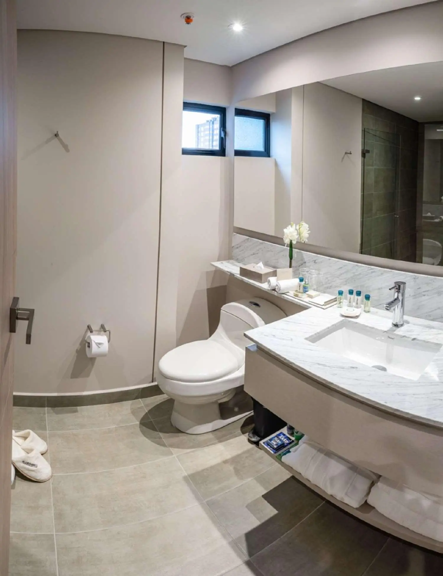 York Medellin, Curio Collection by Hilton