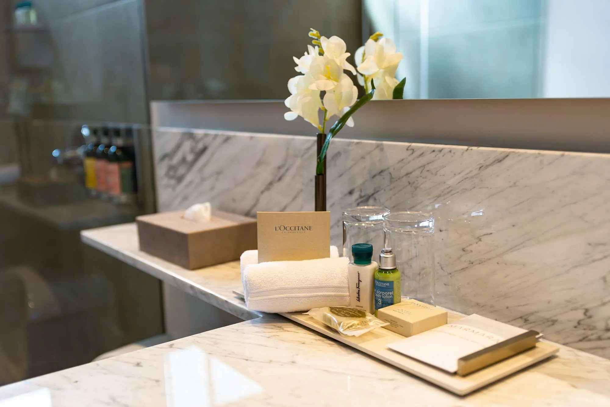 York Medellin, Curio Collection by Hilton