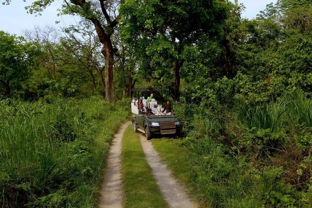 SAFARI ADVENTURE LODGE