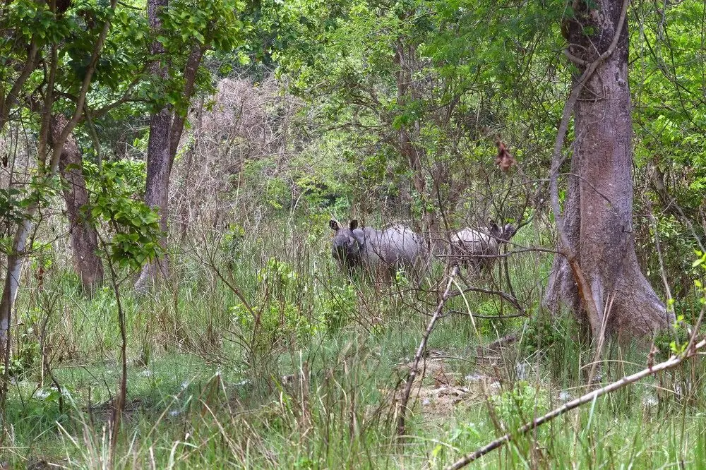 SAFARI ADVENTURE LODGE