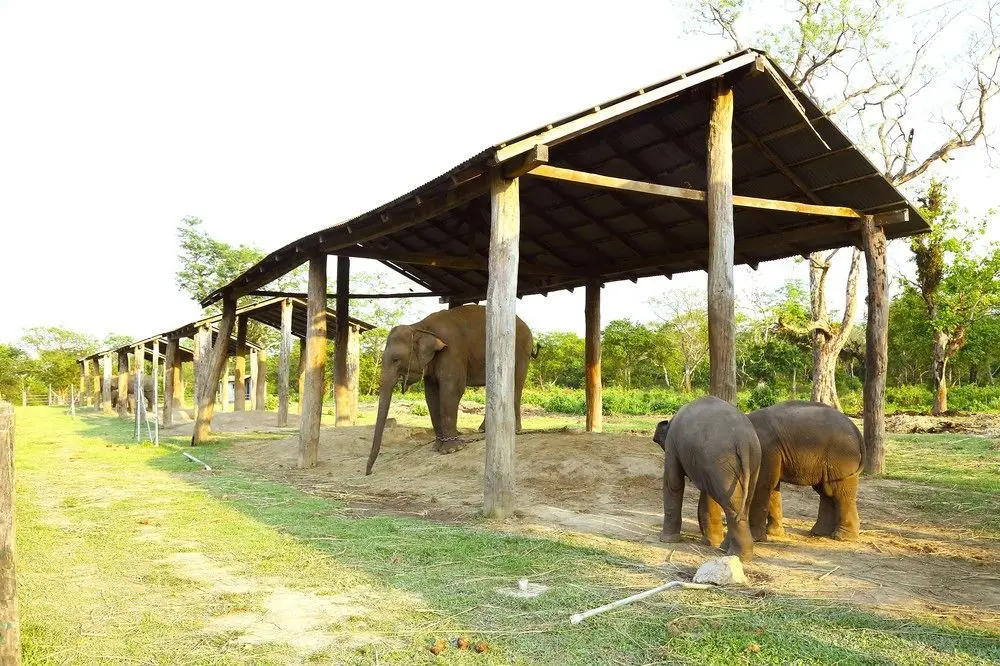 SAFARI ADVENTURE LODGE