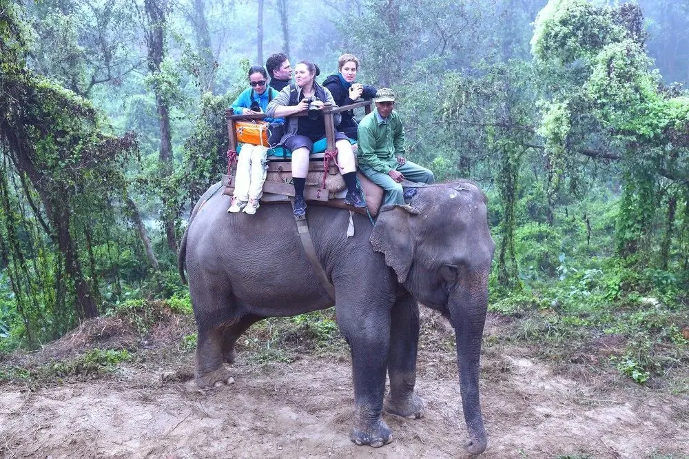 SAFARI ADVENTURE LODGE