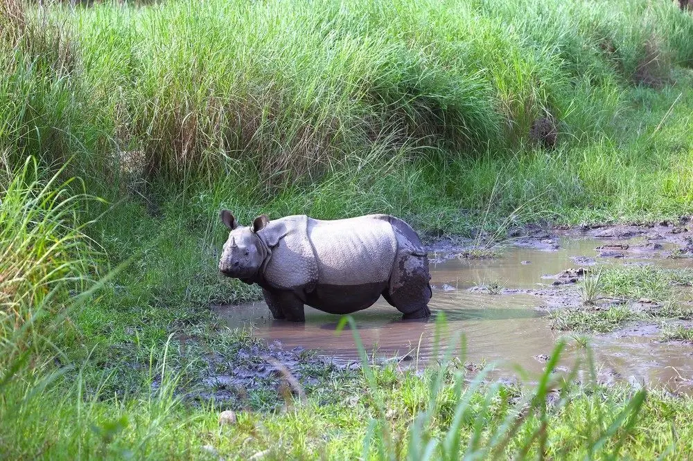 SAFARI ADVENTURE LODGE