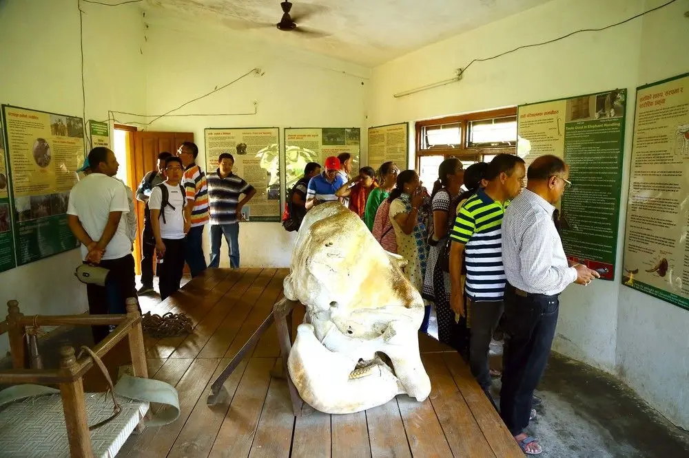 SAFARI ADVENTURE LODGE