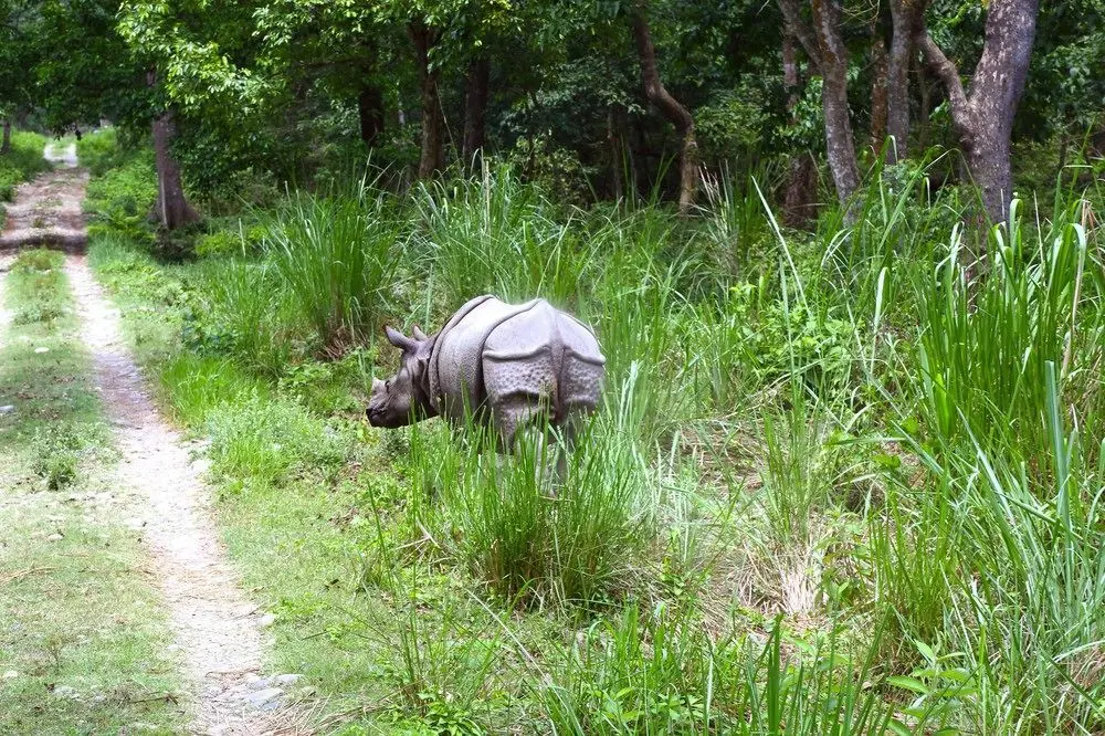 SAFARI ADVENTURE LODGE