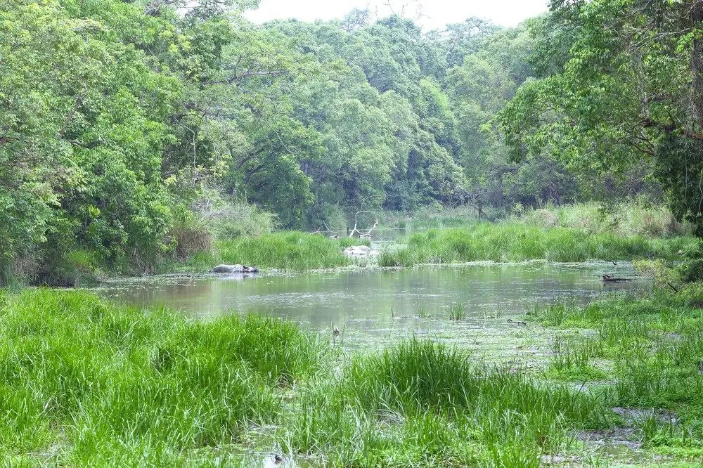 SAFARI ADVENTURE LODGE