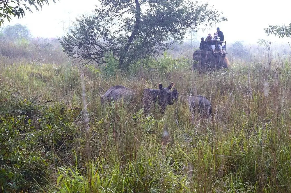 SAFARI ADVENTURE LODGE