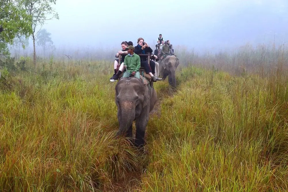 SAFARI ADVENTURE LODGE