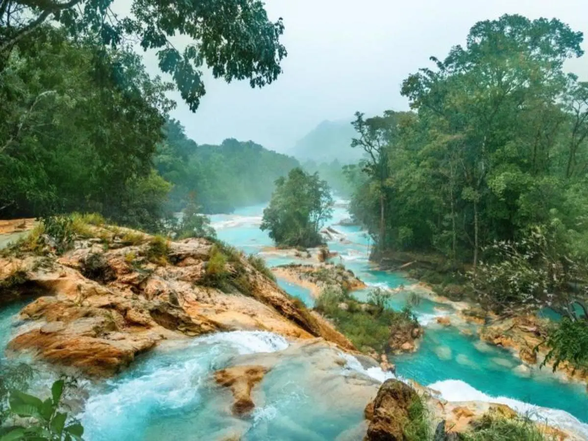 Experiencia Chiapas