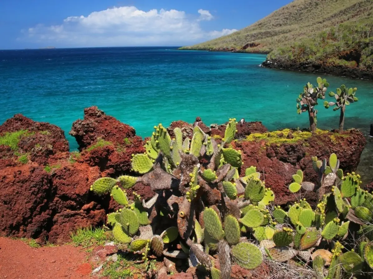 Andes & Galapagos (Multi country)